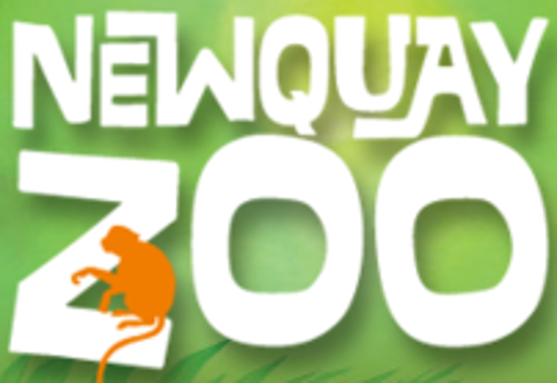 Newquay Zoo Coupons & Promo Codes