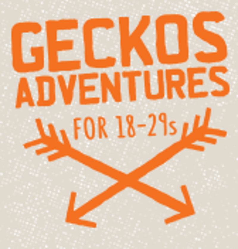 Gecko Coupons & Promo Codes